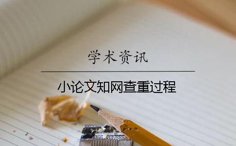 小论文知网查重过程