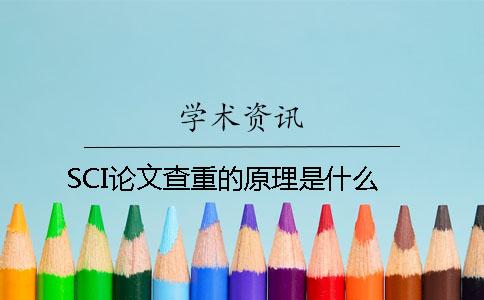 SCI论文查重的原理是什么？