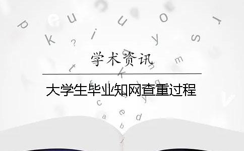 大学生毕业知网查重过程