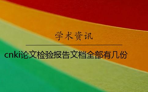cnki论文检验报告文档全部有几份？