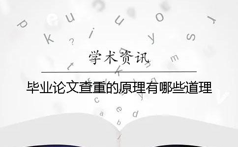 毕业论文查重的原理有哪些道理