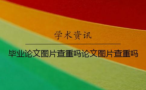 毕业论文图片查重吗论文图片查重吗