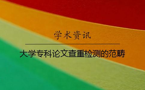 大学专科论文查重检测的范畴