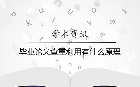 毕业论文查重利用有什么原理