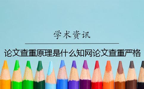 论文查重原理是什么？知网论文查重严格吗？