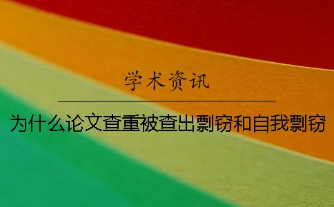 为什么论文查重被查出剽窃和自我剽窃