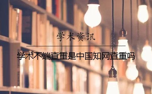 学术不端查重是中国知网查重吗？
