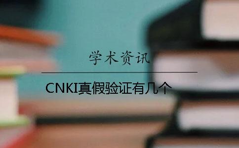CNKI真假验证有几个