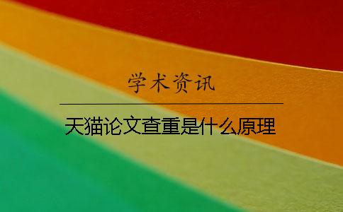 天猫论文查重是什么原理