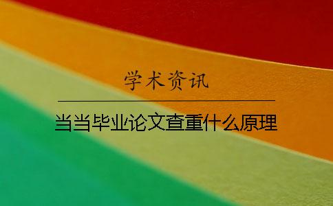 当当毕业论文查重什么原理